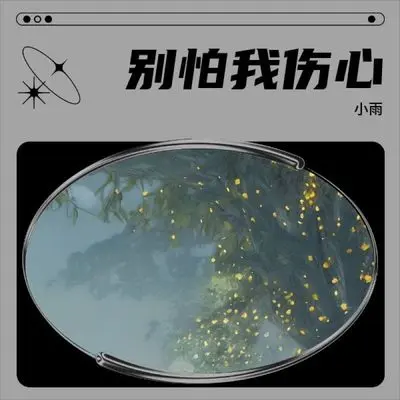 别怕我伤心封面