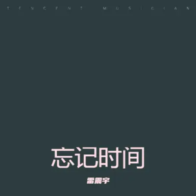 今生拜不了天地封面