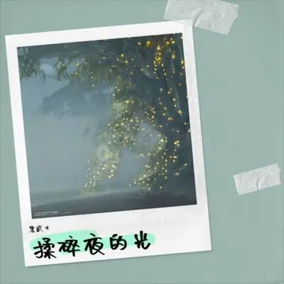 揉碎夜的光 (也许来来回回兜几个圆圈)封面