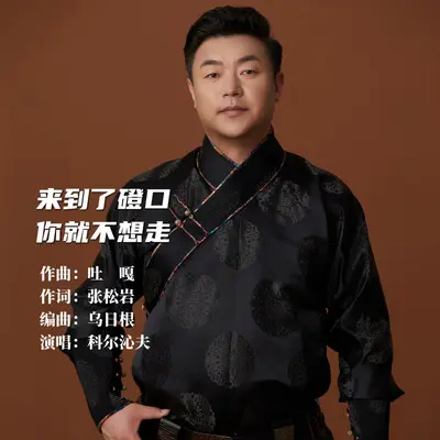 来到了磴口你就不想走封面