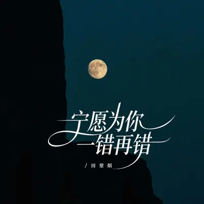 宁愿为你一错再错（女声深情版）封面
