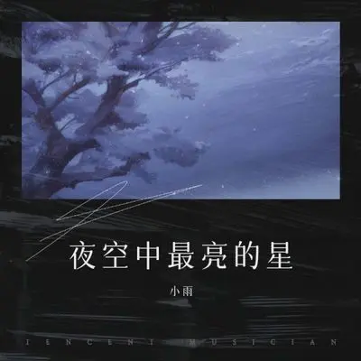 夜空中最亮的星 (逃跑)封面