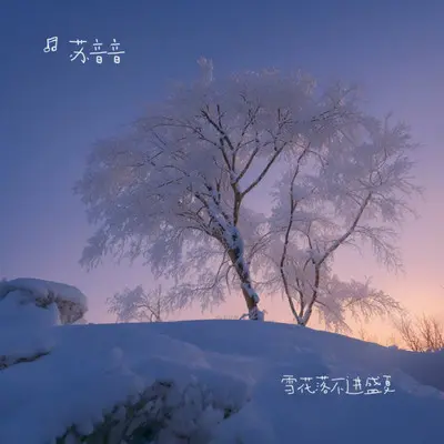 我等的不是风 是来去一场空封面