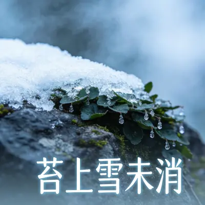 苔上雪未消封面