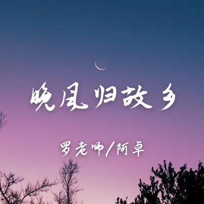 晚风归故乡封面