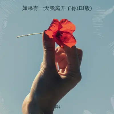 如果有一天我离开了你(DJ版)封面