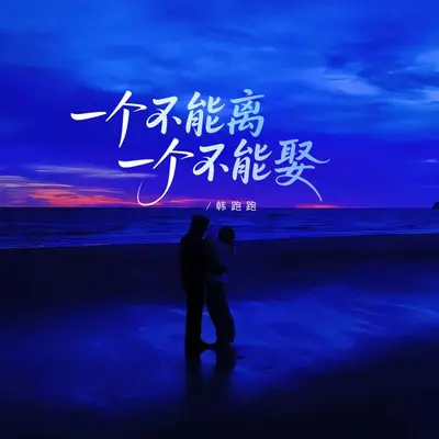 一个不能离一个又不能娶（释怀版） - 韩跑跑封面