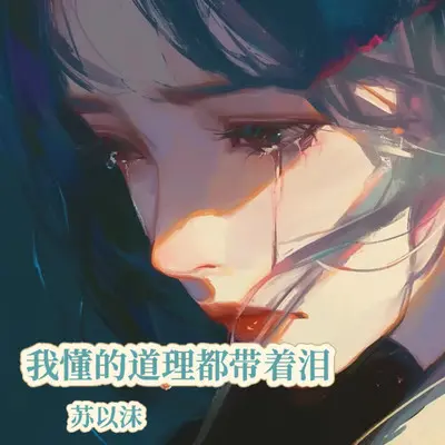 我懂的道理都带着泪封面