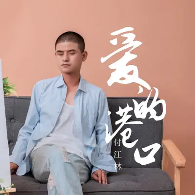 爱的港口封面