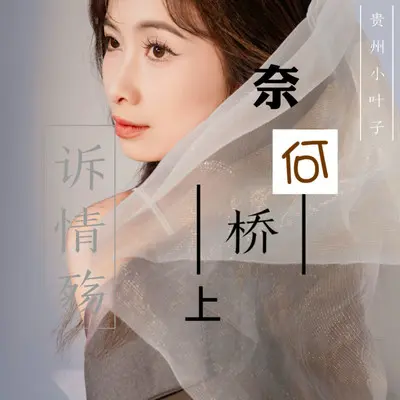 奈何桥上诉情殇封面