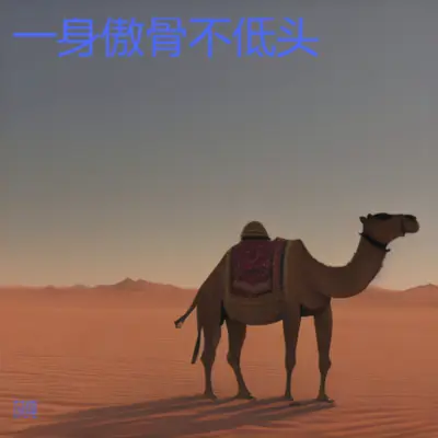 走过人生的坎坷（烟嗓版）封面