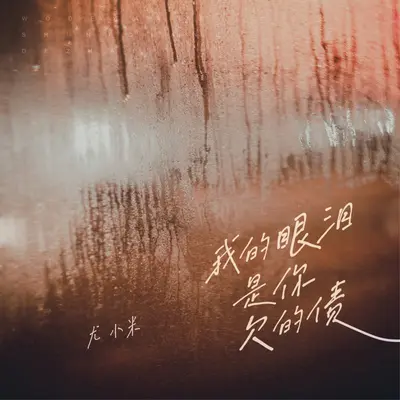 我的眼泪是你欠的债（伴奏）封面