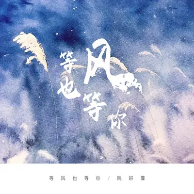 等风也等你封面