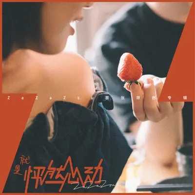 流年(伴奏)封面