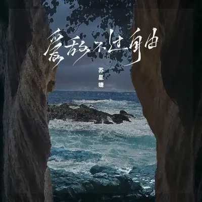 爱敌不过自由 (DJAh版伴奏)封面