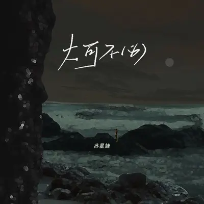 大可不必 (DJAh版伴奏) - 苏星婕封面
