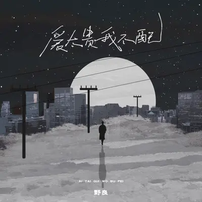 爱太贵我不配(0.8x）封面