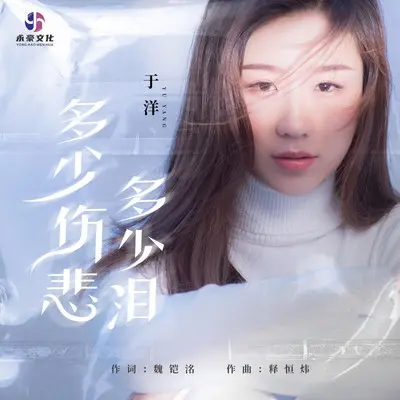 多少伤悲多少泪（DJ永强版）（伴奏）封面