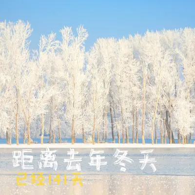 距离去年冬天 (范的语录)封面