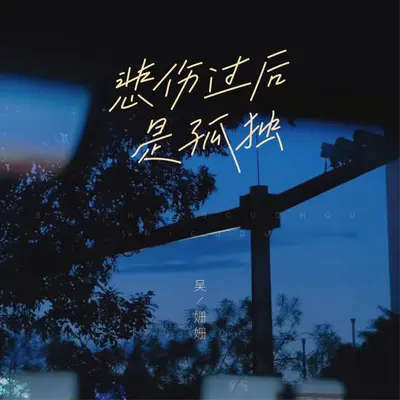 悲伤过后是孤独封面