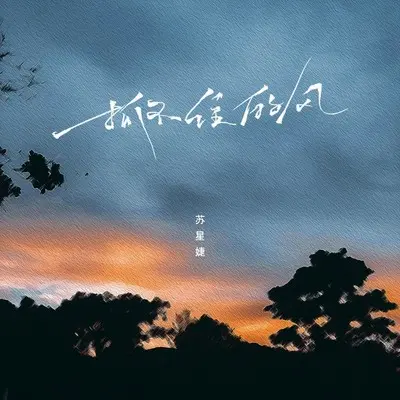 抓不住的风 (DJAh版伴奏)封面