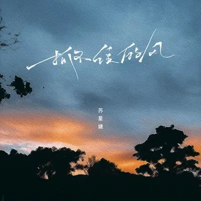 抓不住的风 (0.8x) - 苏星婕封面