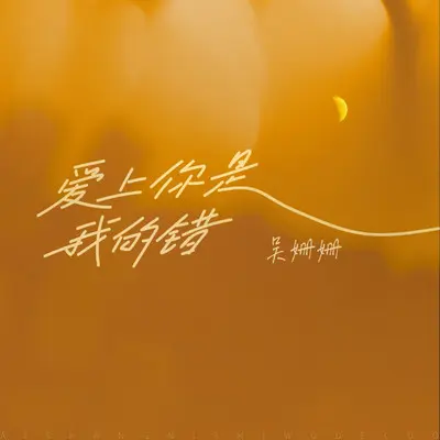 爱上你是我的错（DJ小鑫版）封面