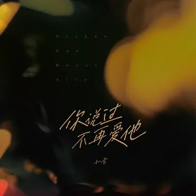 你说过不再爱他封面