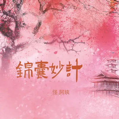 锦囊妙计（DJ小鑫版） - 怪阿姨封面