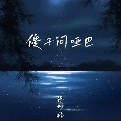 傻子问哑巴 - 张妙格封面