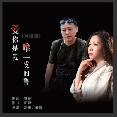 爱你是我唯一发的誓（舞曲版）封面