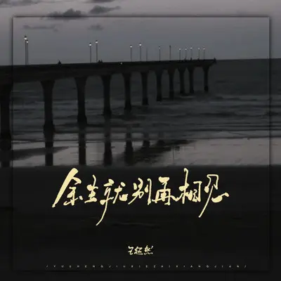 余生就别再相见封面