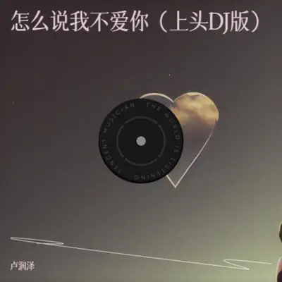 怎么说我不爱你(上头DJ版)封面