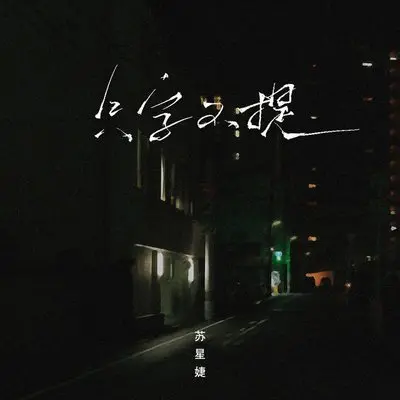 只字不提 (伴奏)封面