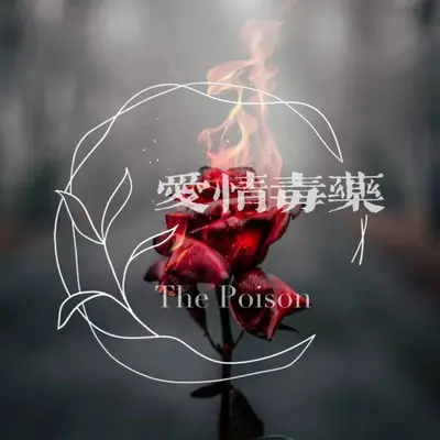 爱情毒药封面