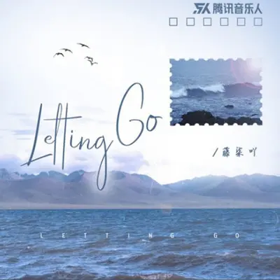 Letting Go（DJ版）封面