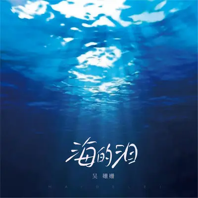 海的泪（DJ小鑫版） - 吴姗姗封面