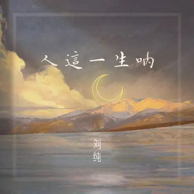 人这一生呐（释怀版）封面