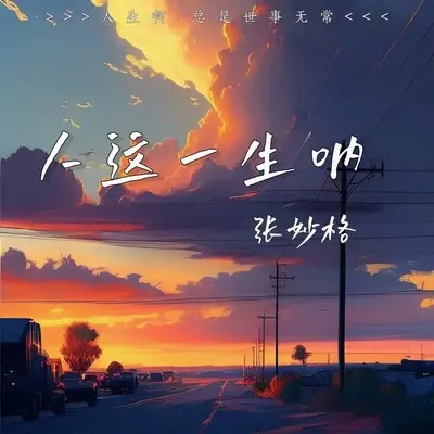 人这一生呐 (女版Live合唱版) - 张妙格封面