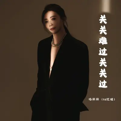 关关难过关关过封面