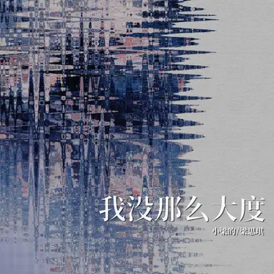 我没那么大度（DJ Eva版）封面