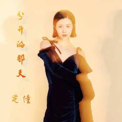 分开的那天(DJheap九天版伴奏) - 花僮封面