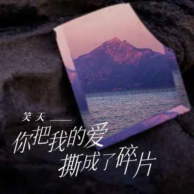 你把我的爱撕成了碎片 - 笑天封面