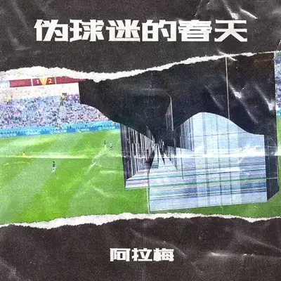 伪球迷的春天封面