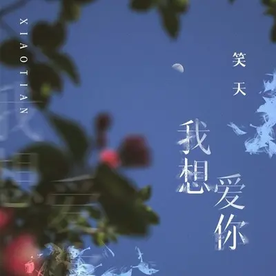 我想爱你(DJ沈念版)封面