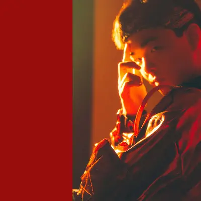 起舞弄清影封面