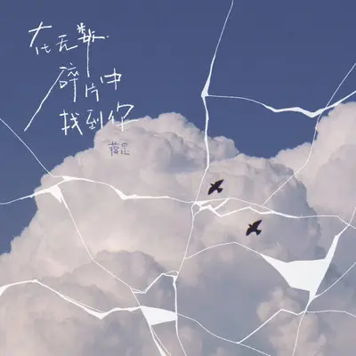 在无数碎片中找到你（1.2X）封面