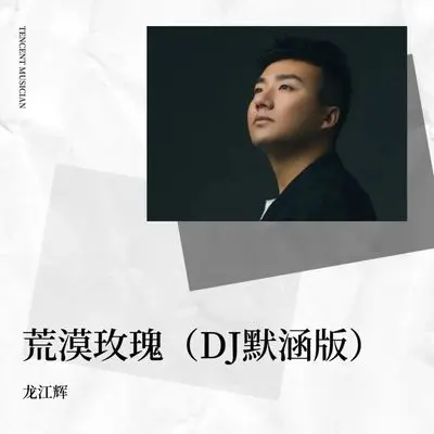 荒漠玫瑰（吉特巴版）封面