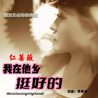 我在他乡挺好的（伴奏）封面