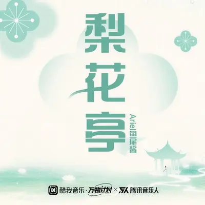 梨花亭(DJ沈念版)（伴奏）封面